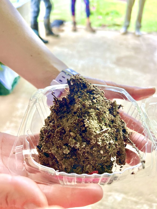 Soil sample gathered in Costa Rica, held in a clear container